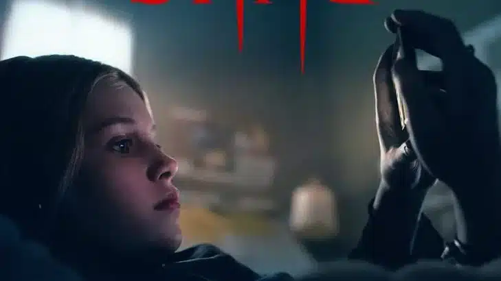 poster du film sting