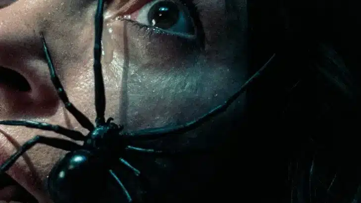 poster du film sting
