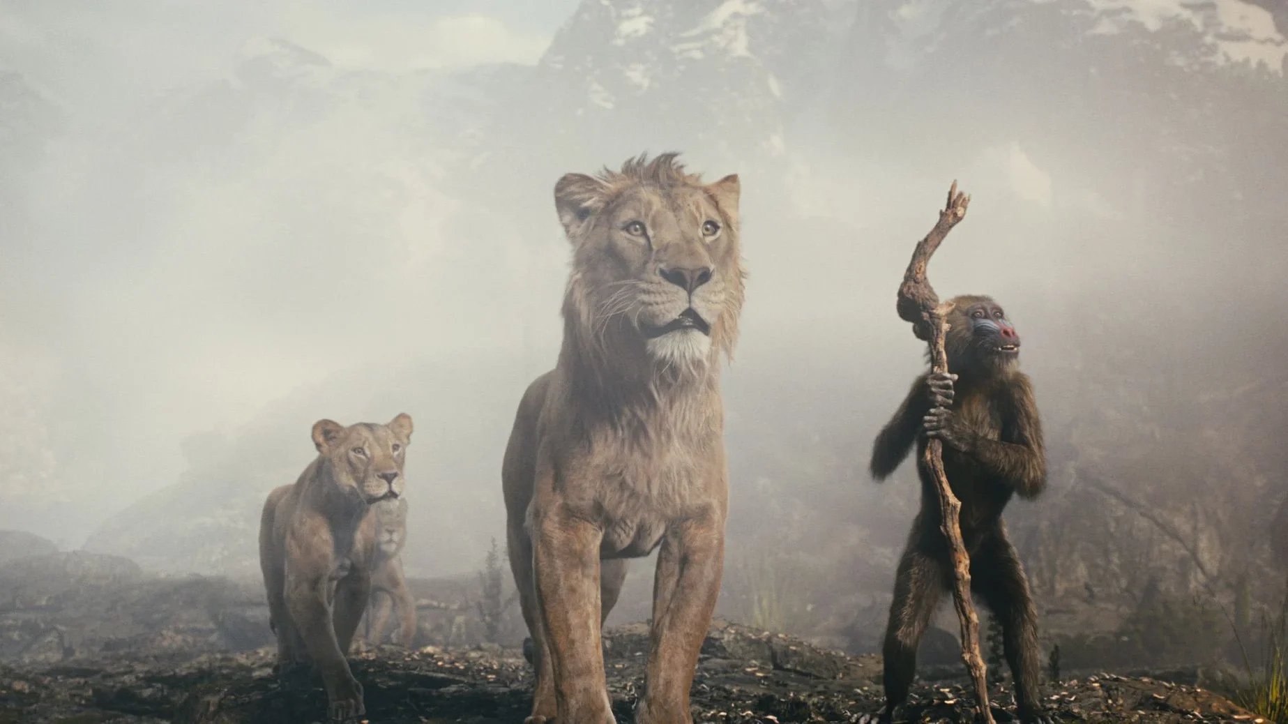 photo mufasa : le roi lion