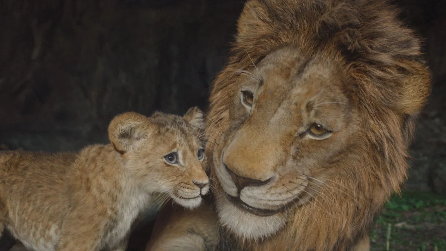photo mufasa : le roi lion